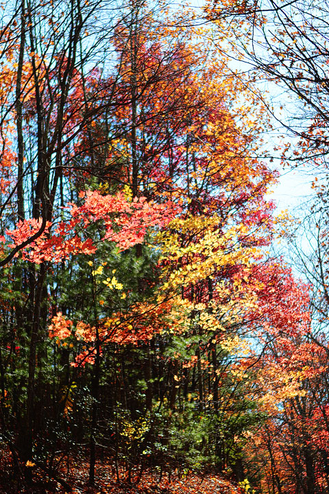 Blue Ridge, Georgia Fall Weekend Getaway. Hiking, Cabins & Waterfalls. Blue Ridge, Georgia Fall Weekend Getaway. Hiking, Cabins & Waterfalls.
