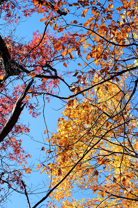 Blue Ridge, Georgia Fall Weekend Getaway. Hiking, Cabins & Waterfalls. Blue Ridge, Georgia Fall Weekend Getaway. Hiking, Cabins & Waterfalls.