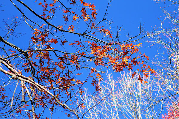 Blue Ridge, Georgia Fall Weekend Getaway. Hiking, Cabins & Waterfalls. Blue Ridge, Georgia Fall Weekend Getaway. Hiking, Cabins & Waterfalls.