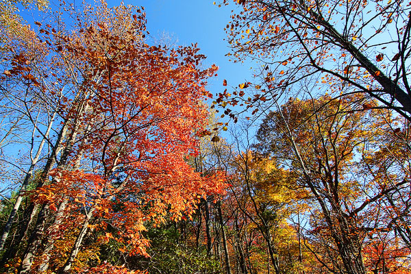 Blue Ridge, Georgia Fall Weekend Getaway. Hiking, Cabins & Waterfalls. Blue Ridge, Georgia Fall Weekend Getaway. Hiking, Cabins & Waterfalls.