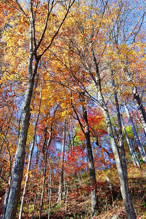 Blue Ridge, Georgia Fall Weekend Getaway. Hiking, Cabins & Waterfalls. Blue Ridge, Georgia Fall Weekend Getaway. Hiking, Cabins & Waterfalls.