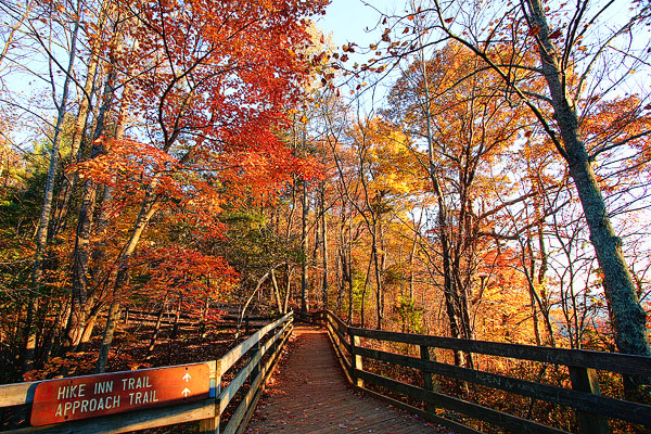 Autumn Hiking Trail Image of an Autumn Hiking Trail