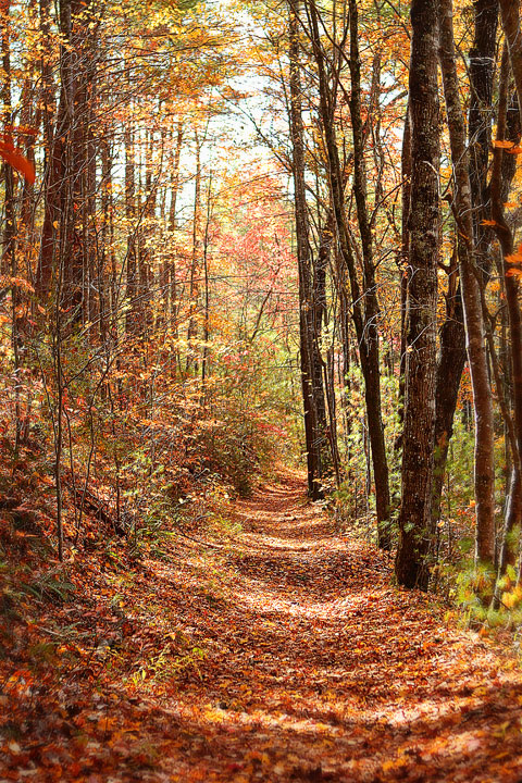 Blue Ridge, Georgia Fall Weekend Getaway. Hiking, Cabins & Waterfalls. Blue Ridge, Georgia Fall Weekend Getaway. Hiking, Cabins & Waterfalls.