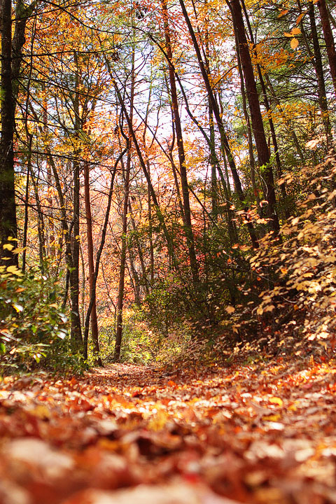 Blue Ridge, Georgia Fall Weekend Getaway. Hiking, Cabins & Waterfalls. Blue Ridge, Georgia Fall Weekend Getaway. Hiking, Cabins & Waterfalls.
