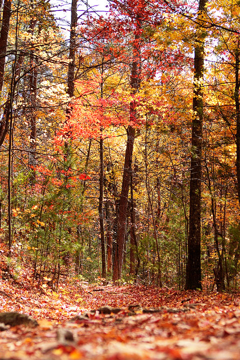 Blue Ridge, Georgia Fall Weekend Getaway. Hiking, Cabins & Waterfalls. Blue Ridge, Georgia Fall Weekend Getaway. Hiking, Cabins & Waterfalls.