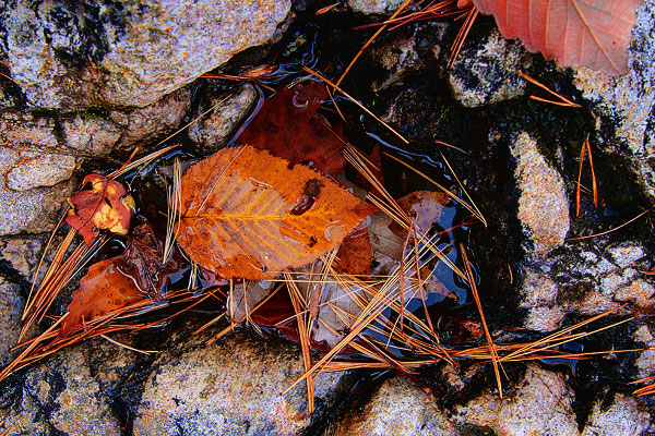 Blue Ridge, Georgia Fall Weekend Getaway. Hiking, Cabins & Waterfalls. Blue Ridge, Georgia Fall Weekend Getaway. Hiking, Cabins & Waterfalls.