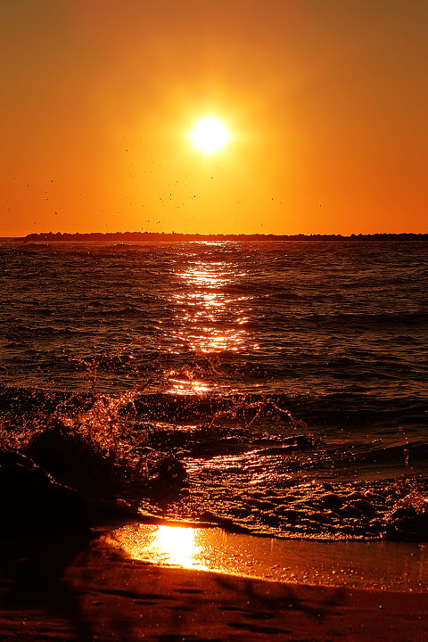 Best Sunset View in Gulf Shores, Orange Beach, Alabama Best Sunset View in Gulf Shores, Orange Beach, Alabama