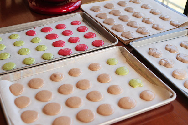 Thanksgiving Themed Holiday Macarons: Caramel Apple Macarons, Chocolate Acorns, and Chocolate Peanut Butter Candy Corn Turkeys Thanksgiving Themed Holiday Macarons: Caramel Apple Macarons, Chocolate Acorns, and Chocolate Peanut Butter Candy Corn Turkeys