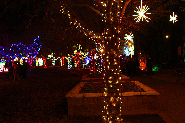Holiday River of Lights in Albuquerque, New Mexico Holiday River of Lights in Albuquerque, New Mexico
