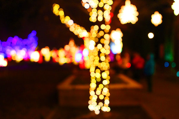 Holiday River of Lights in Albuquerque, New Mexico Holiday River of Lights in Albuquerque, New Mexico