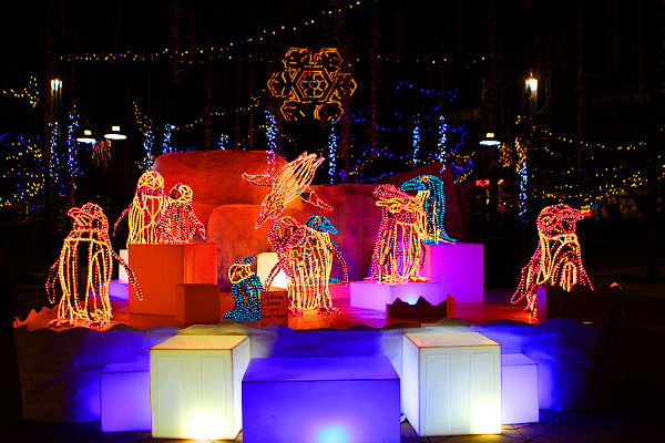 Holiday River of Lights in Albuquerque, New Mexico Holiday River of Lights in Albuquerque, New Mexico