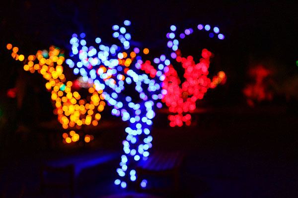 Holiday River of Lights in Albuquerque, New Mexico Holiday River of Lights in Albuquerque, New Mexico
