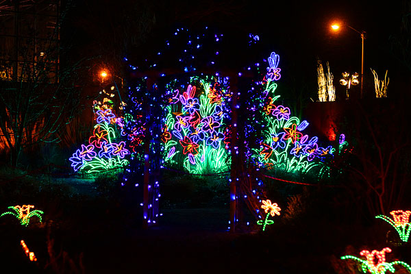 Holiday River of Lights in Albuquerque, New Mexico Holiday River of Lights in Albuquerque, New Mexico