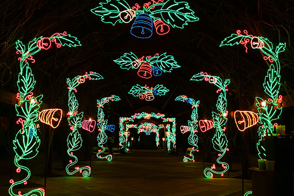 Holiday River of Lights in Albuquerque, New Mexico Holiday River of Lights in Albuquerque, New Mexico