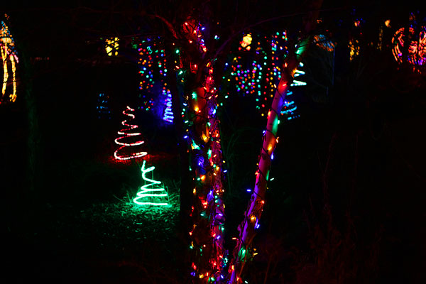 Holiday River of Lights in Albuquerque, New Mexico Holiday River of Lights in Albuquerque, New Mexico