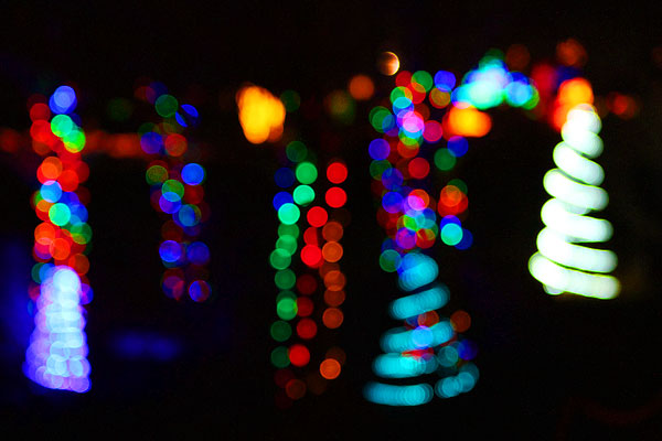 Holiday River of Lights in Albuquerque, New Mexico Holiday River of Lights in Albuquerque, New Mexico