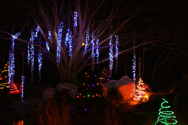 Holiday River of Lights in Albuquerque, New Mexico Holiday River of Lights in Albuquerque, New Mexico