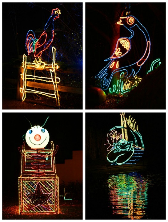 Holiday River of Lights in Albuquerque, New Mexico Holiday River of Lights in Albuquerque, New Mexico
