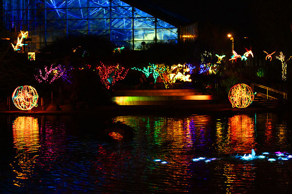 Holiday River of Lights in Albuquerque, New Mexico Holiday River of Lights in Albuquerque, New Mexico