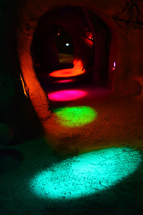 Holiday River of Lights in Albuquerque, New Mexico Holiday River of Lights in Albuquerque, New Mexico