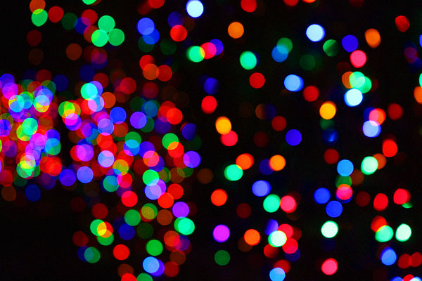 Holiday River of Lights in Albuquerque, New Mexico Holiday River of Lights in Albuquerque, New Mexico