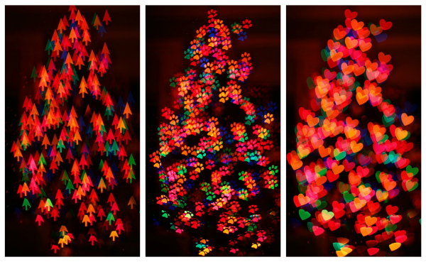 Christmas-2011-3a