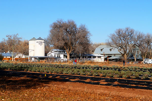 Los Poblanos Ranch | Albuquerque, New Mexico Los Poblanos Ranch | Albuquerque, New Mexico