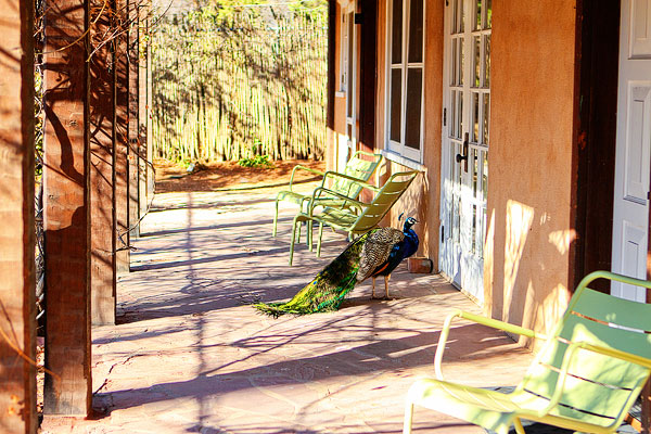 Los Poblanos Ranch | Albuquerque, New Mexico Los Poblanos Ranch | Albuquerque, New Mexico