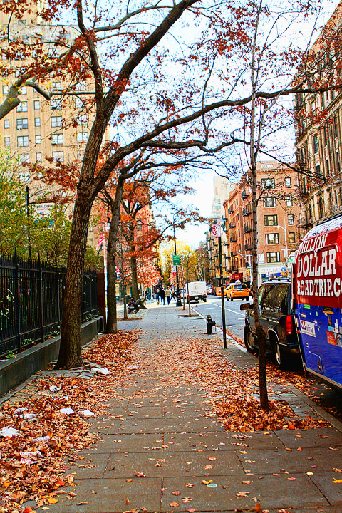 New York City at Christmas 2011 New York City at Christmas 2011
