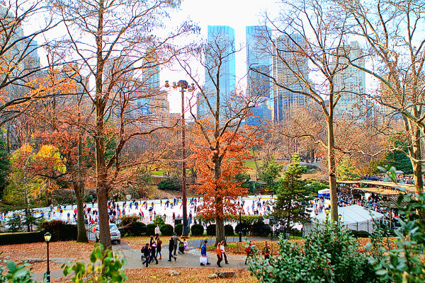 New York City at Christmas 2011 New York City at Christmas 2011