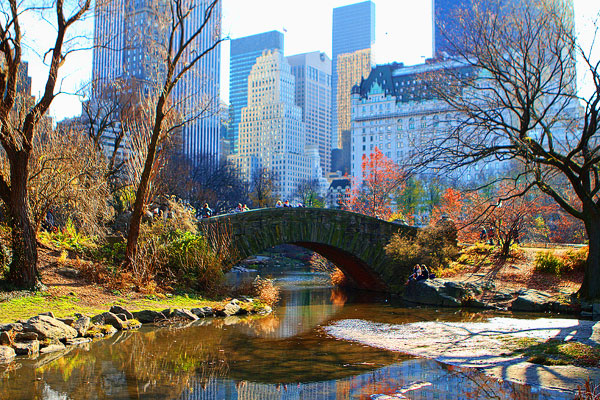 New York City at Christmas 2011 New York City at Christmas 2011