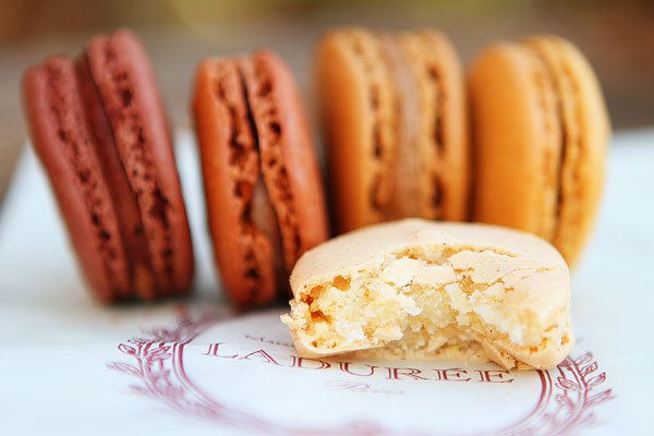 Best Macarons in NYC Best Macarons in NYC