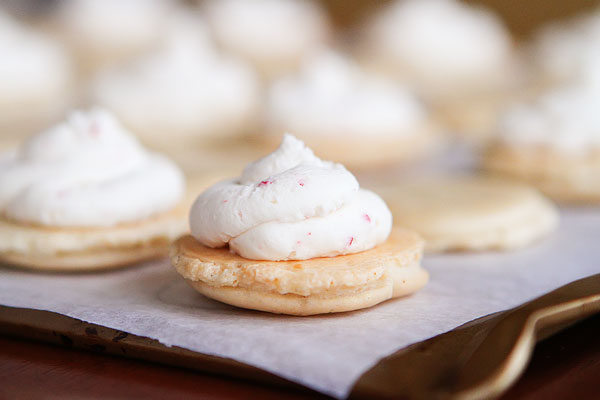 Sparkly Vanilla Bean Macarons with Three Christmas Inspired Frostings Sparkly Vanilla Bean Macarons with Three Christmas Inspired Frostings