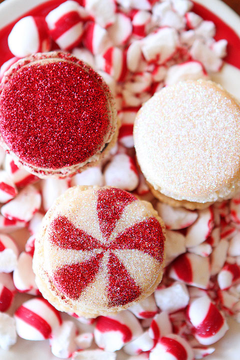 Sparkly Vanilla Bean Macarons with Three Christmas Inspired Frostings Sparkly Vanilla Bean Macarons with Three Christmas Inspired Frostings