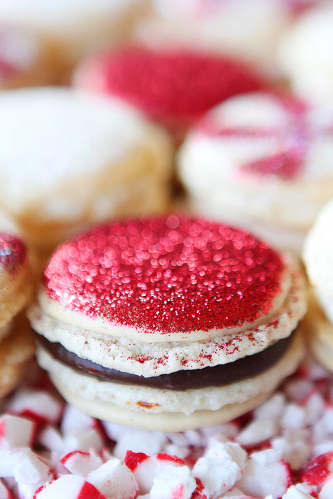 Sparkly Vanilla Bean Macarons with Three Christmas Inspired Frostings Sparkly Vanilla Bean Macarons with Three Christmas Inspired Frostings