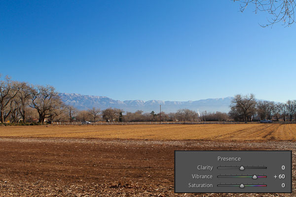 vibrance-1