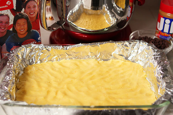 Girl Scout Cookie Tagalong Cake Bars Girl Scout Cookie Tagalong Cake Bars