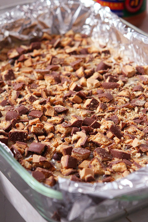 Girl Scout Cookie Tagalong Cake Bars Girl Scout Cookie Tagalong Cake Bars