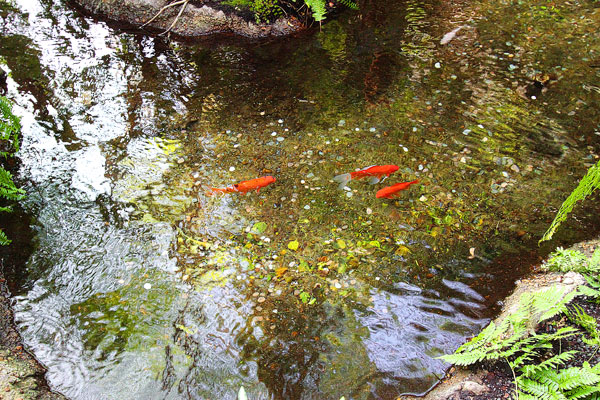 Opryland Hotel, Nashville Gaylord Opryland Hotel Nashville