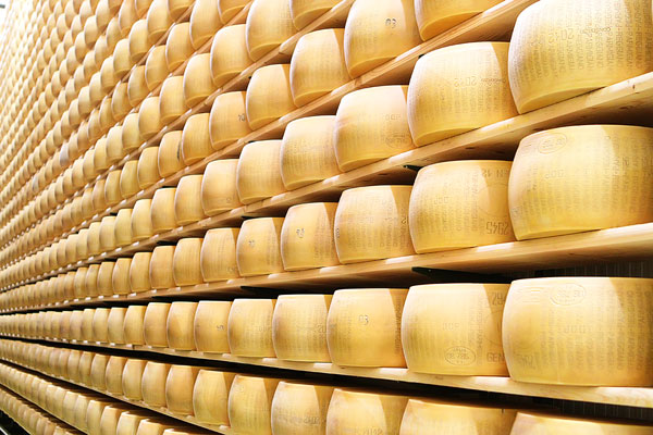 Parmigiano Reggiano Taste-Testing at Casearia Sant'Anna Parmigiano Reggiano Taste-Testing at Casearia Sant'Anna