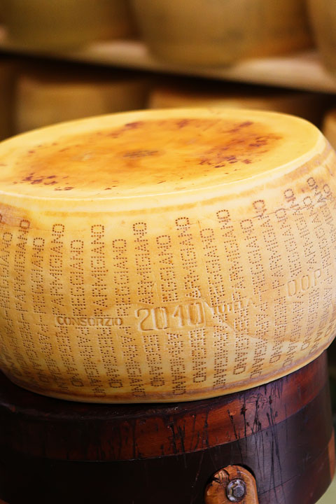 Parmigiano Reggiano Taste-Testing at Casearia Sant'Anna Parmigiano Reggiano Taste-Testing at Casearia Sant'Anna