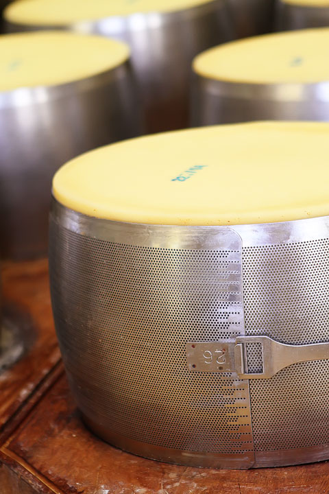 Parmigiano Reggiano Taste-Testing at Casearia Sant'Anna Parmigiano Reggiano Taste-Testing at Casearia Sant'Anna