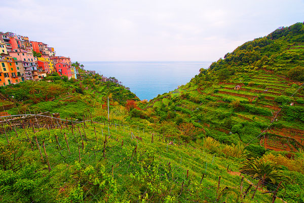Cinque Terre Italy Cinque Terre Italy