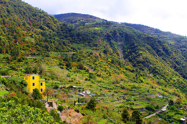 Cinque Terre Italy Cinque Terre Italy