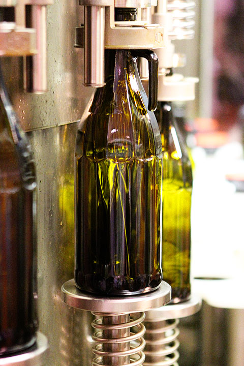 Redoro Olive Oil Orchard and Vineyard in Verona Italy Redoro Olive Oil Orchard and Vineyard in Verona Italy