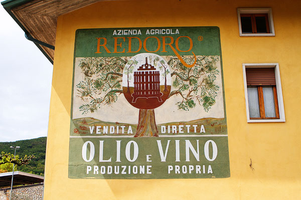 Redoro Olive Oil Orchard and Vineyard in Verona Italy Redoro Olive Oil Orchard and Vineyard in Verona Italy