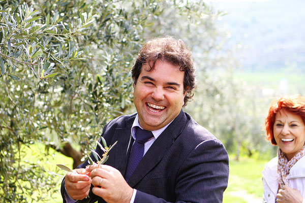 Redoro Olive Oil Orchard and Vineyard in Verona Italy Redoro Olive Oil Orchard and Vineyard in Verona Italy