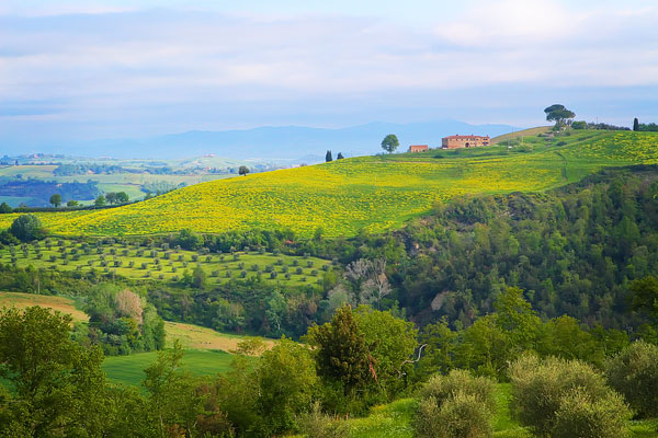 Guide to the Perfect Tuscany Road Trip Guide to the Perfect Tuscany Road Trip