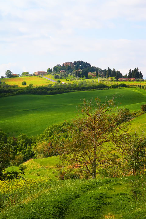 Guide to the Perfect Tuscany Road Trip Guide to the Perfect Tuscany Road Trip