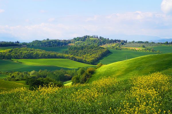 Guide to the Perfect Tuscany Road Trip Guide to the Perfect Tuscany Road Trip